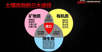 空談資源,沒有核心技術的企業注定被邊緣化